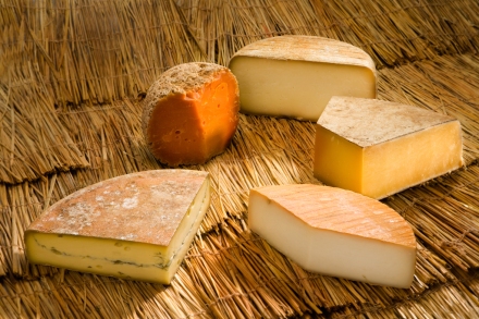 Hard-Pressed-Cheese